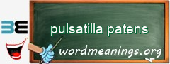 WordMeaning blackboard for pulsatilla patens